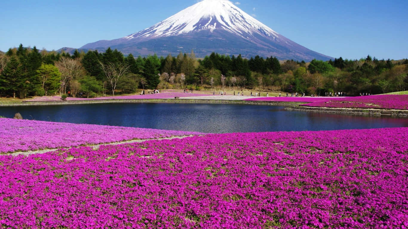 Denmajestätiska Skönheten Hos Berget Fuji I Japan.