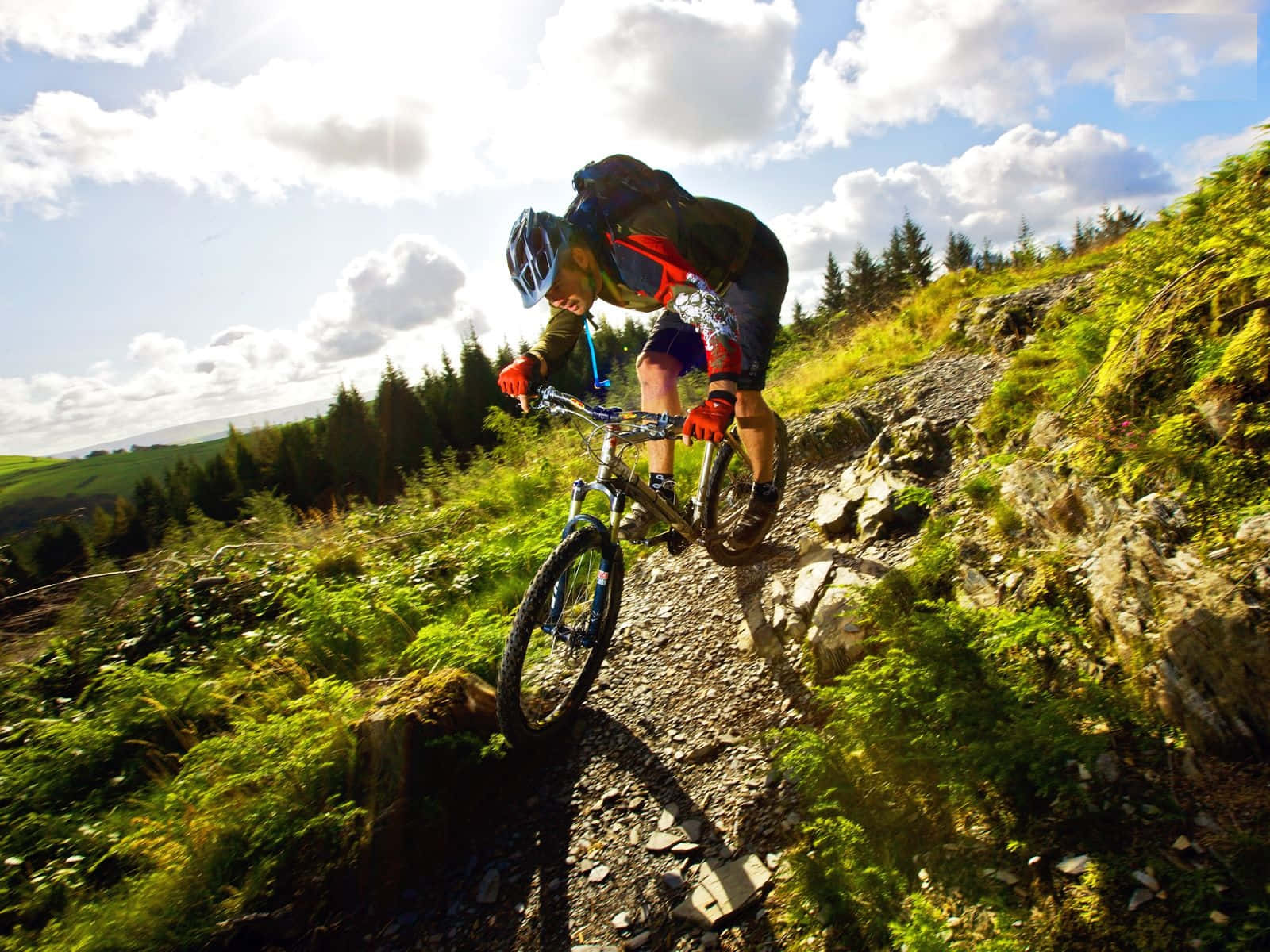 Mountain biker conquering rough terrain