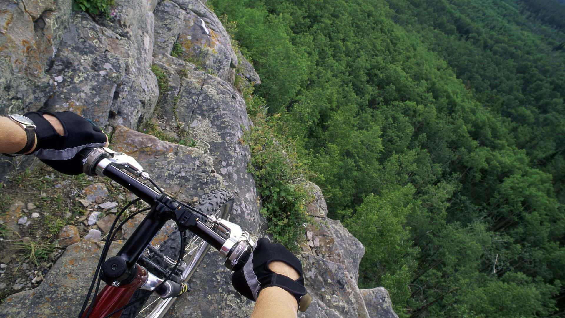 Thrilling mountain bike ride through the forest