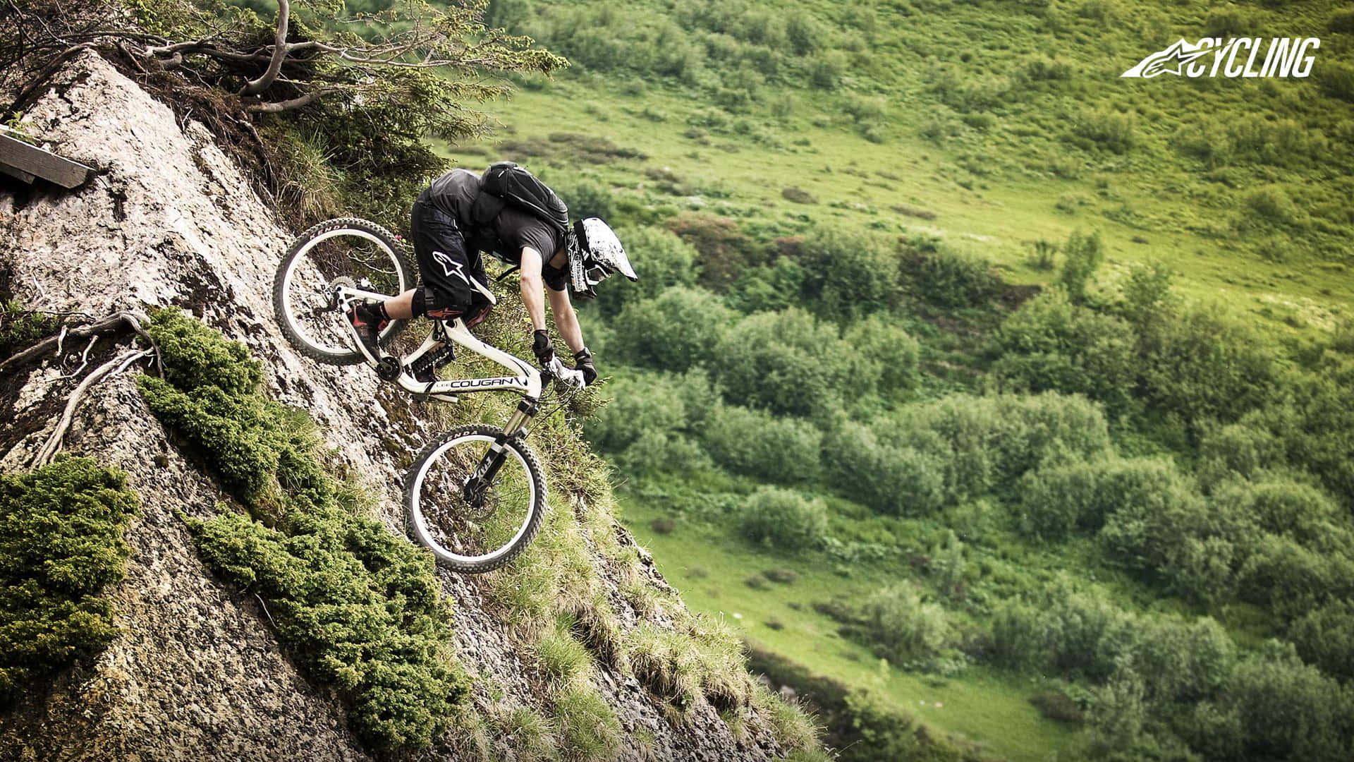 Thrilling Mountain Bike Adventure in the Forest
