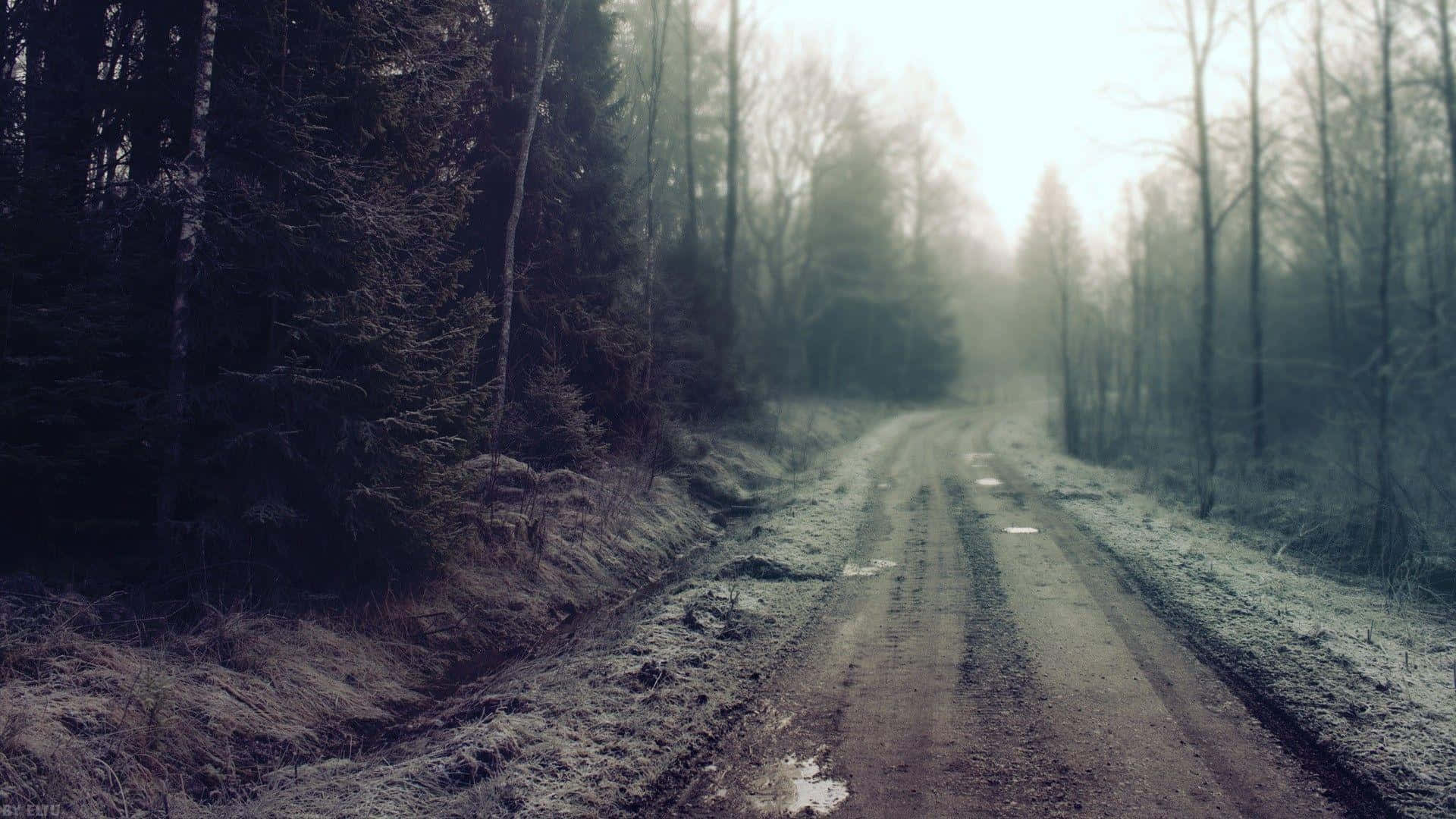 Rugged Trail Through Thick Mud