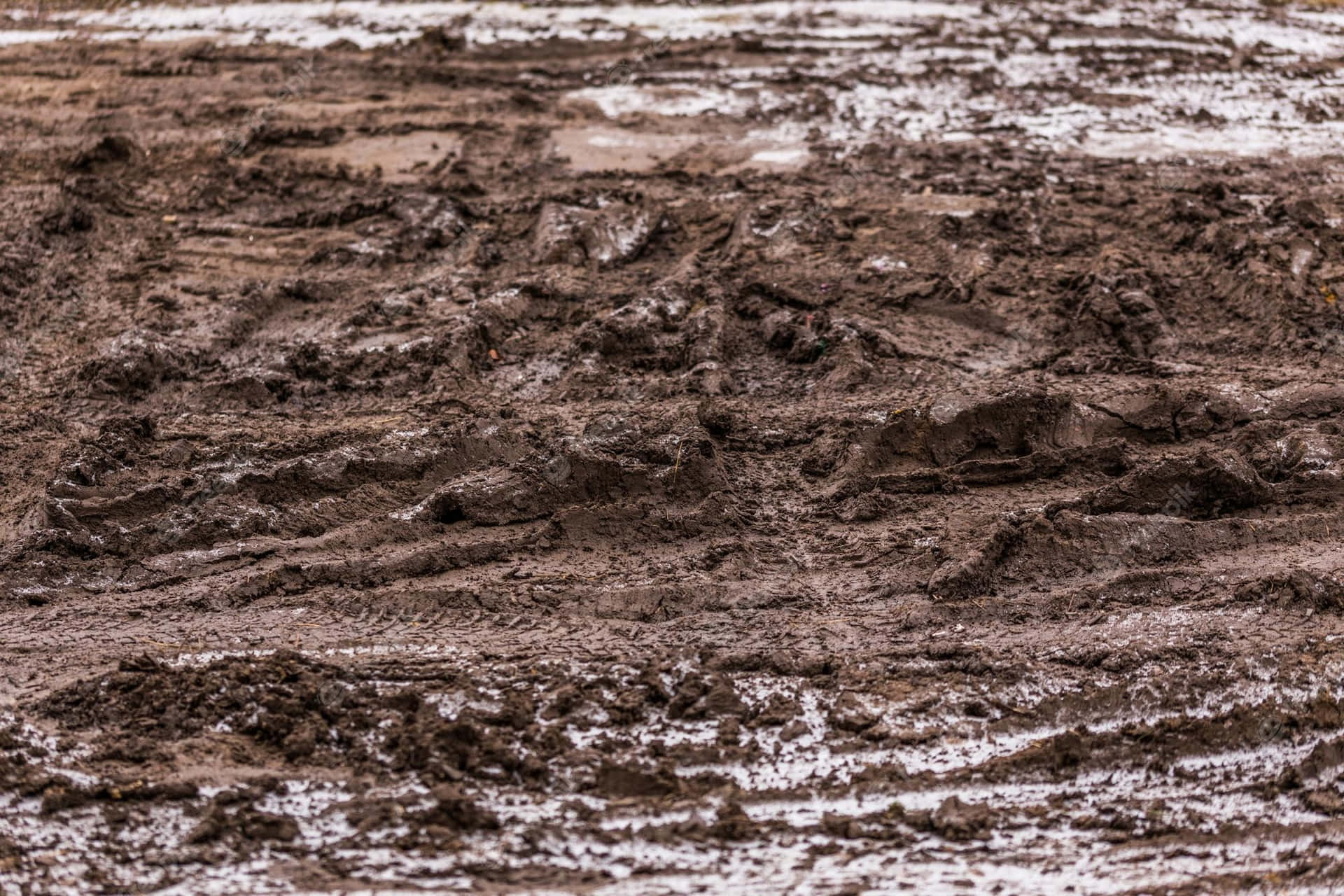Enjoy Getting Dirty in the Mud