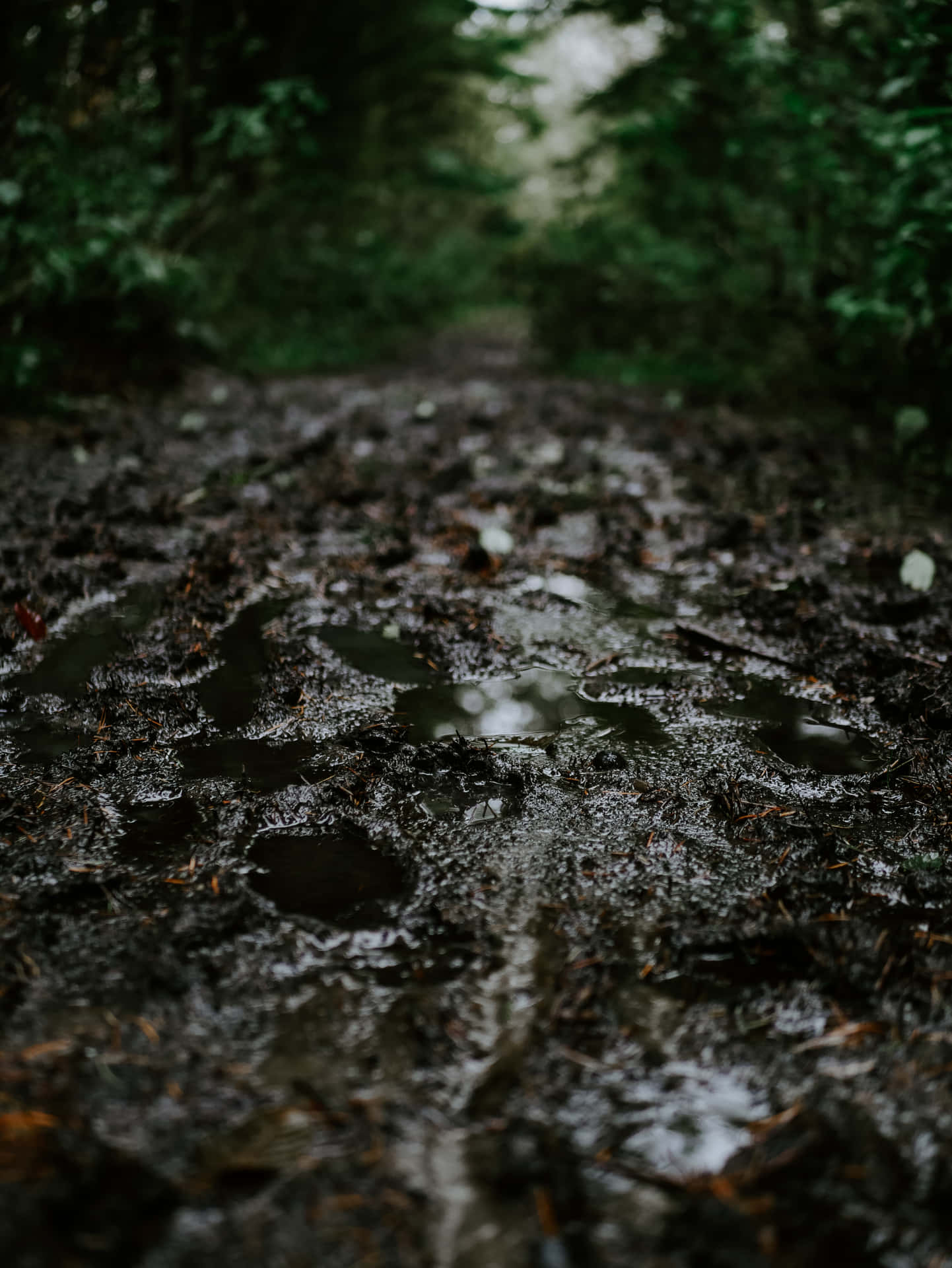 Mud Puddle After Rain Dirty Road Wallpaper