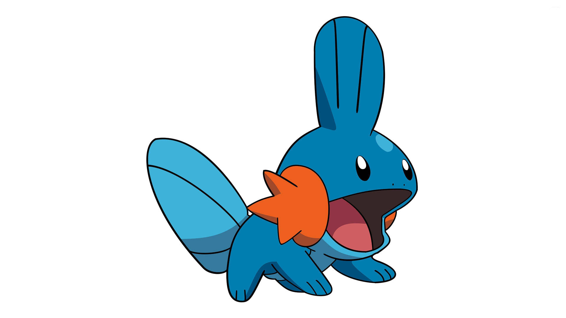 Mudkip with open mouth Wallpaper