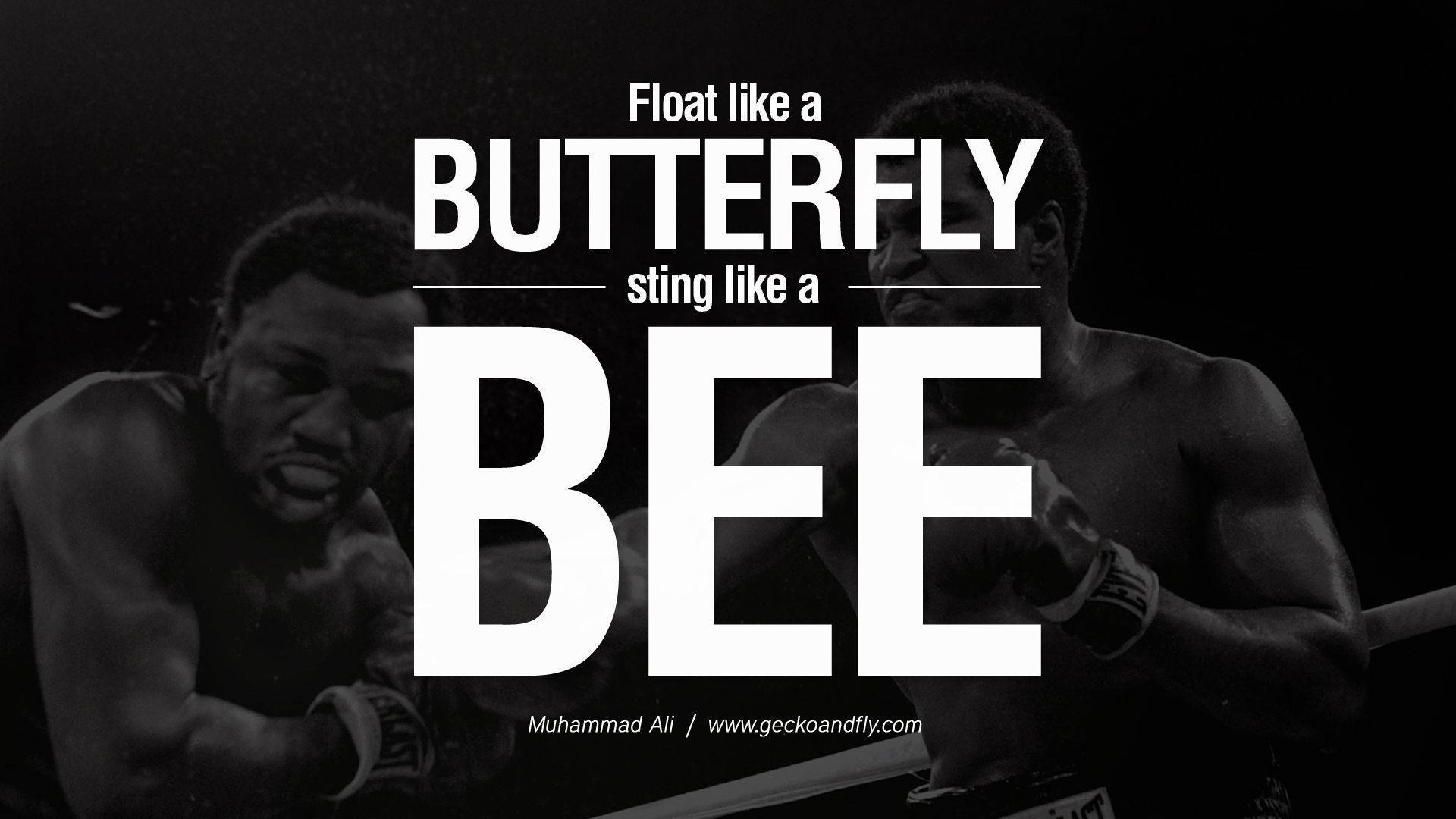 Download Muhammad Ali Great Inspiring Quote Wallpaper 