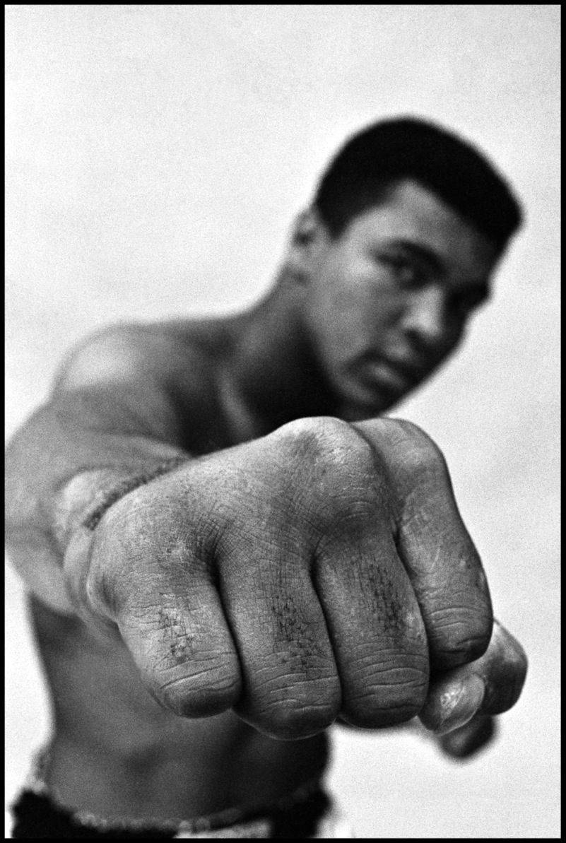 Muhammad Ali Knuckles Portrait
