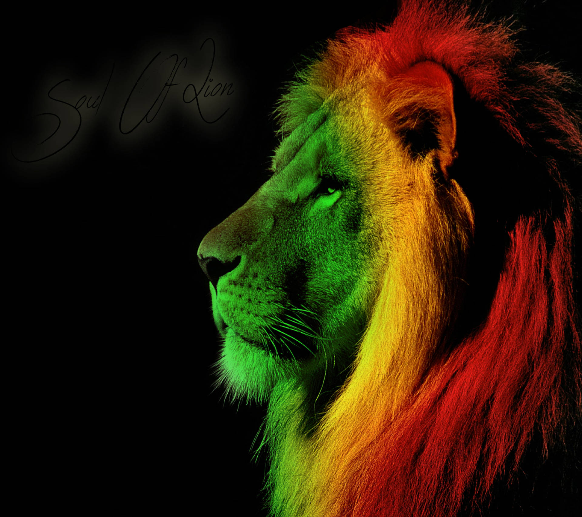 Multi-Color Lion Desktop Wallpaper