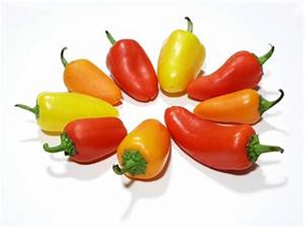 Multi-colored Bell Pepper Fruits Arranged In Circle Wallpaper