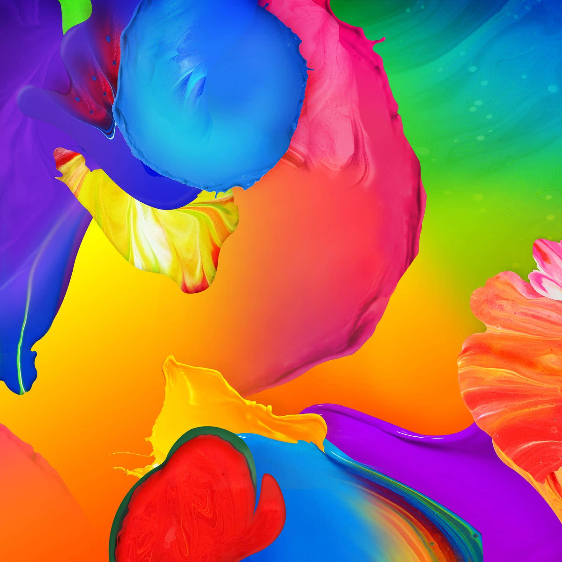 A Vibrant Multicolor Background