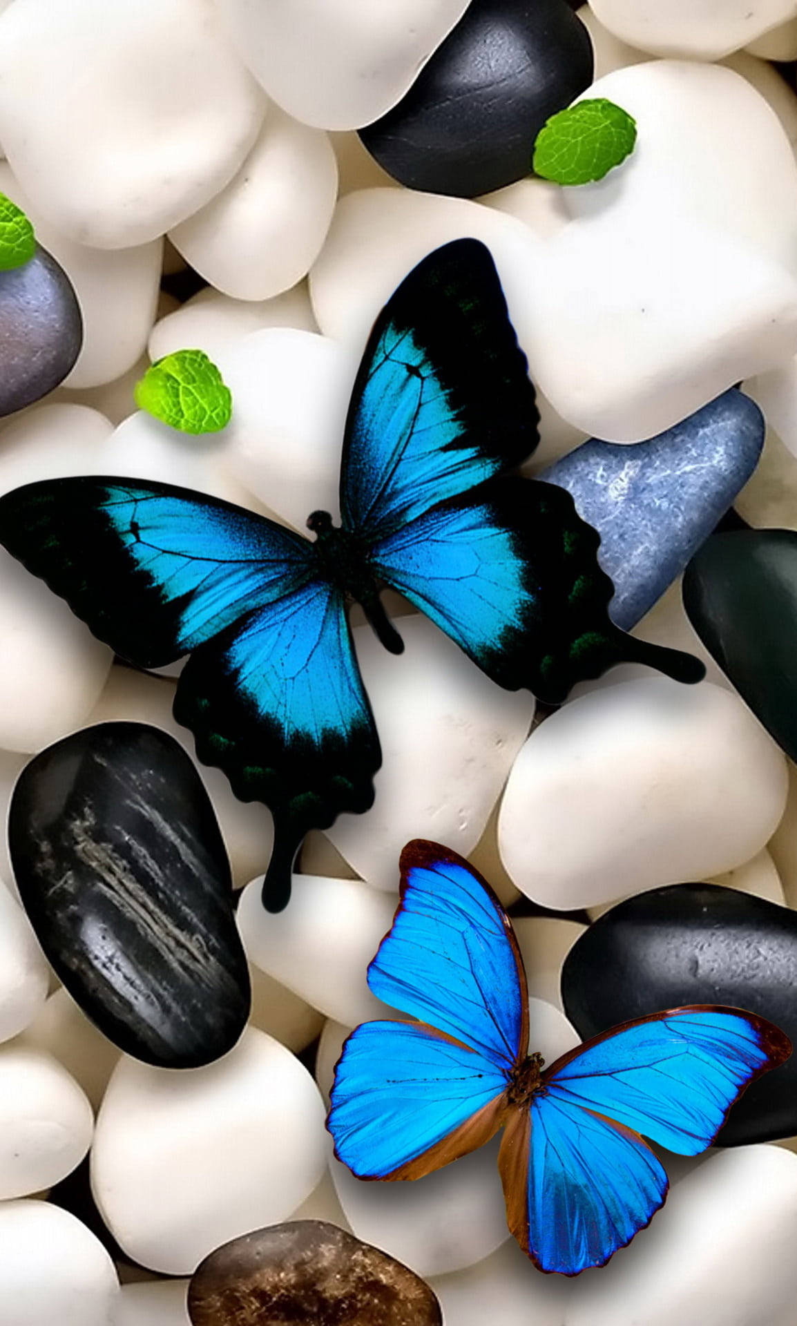 Multicolor Butterflies In Nature Wallpaper