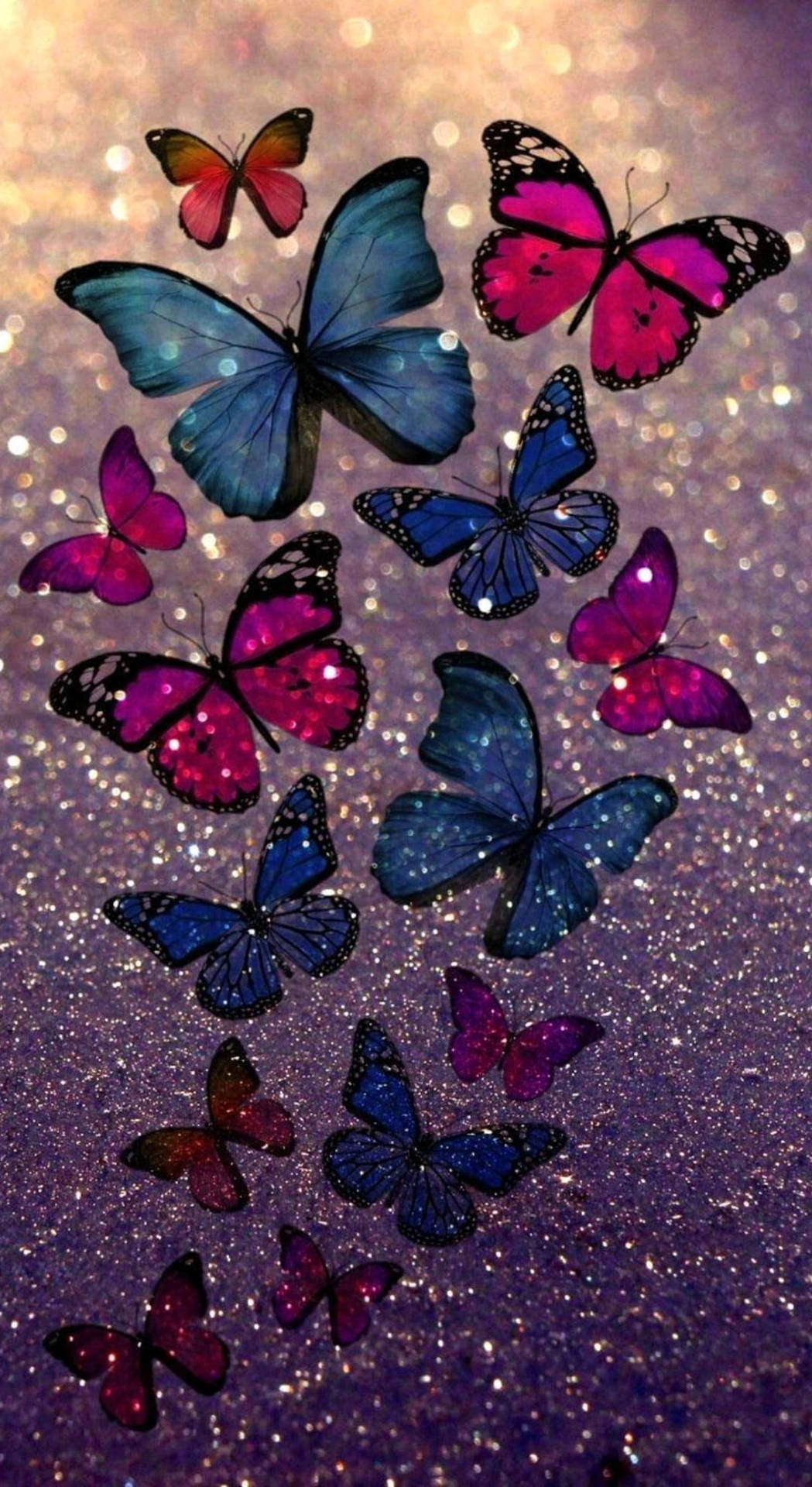 Download Multicolor Butterflies Wallpaper 
