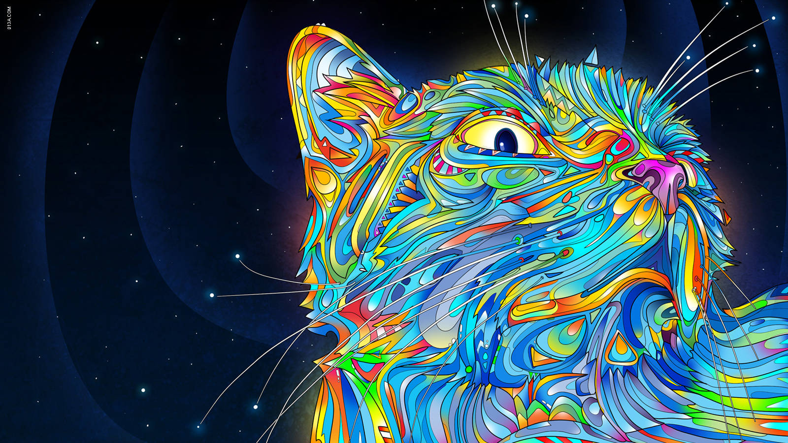 Multicolor Cat Full Hd 1600x900 Wallpaper