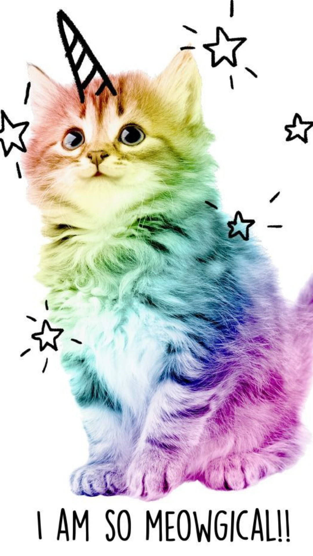 Multicolor Cute Kitty Background
