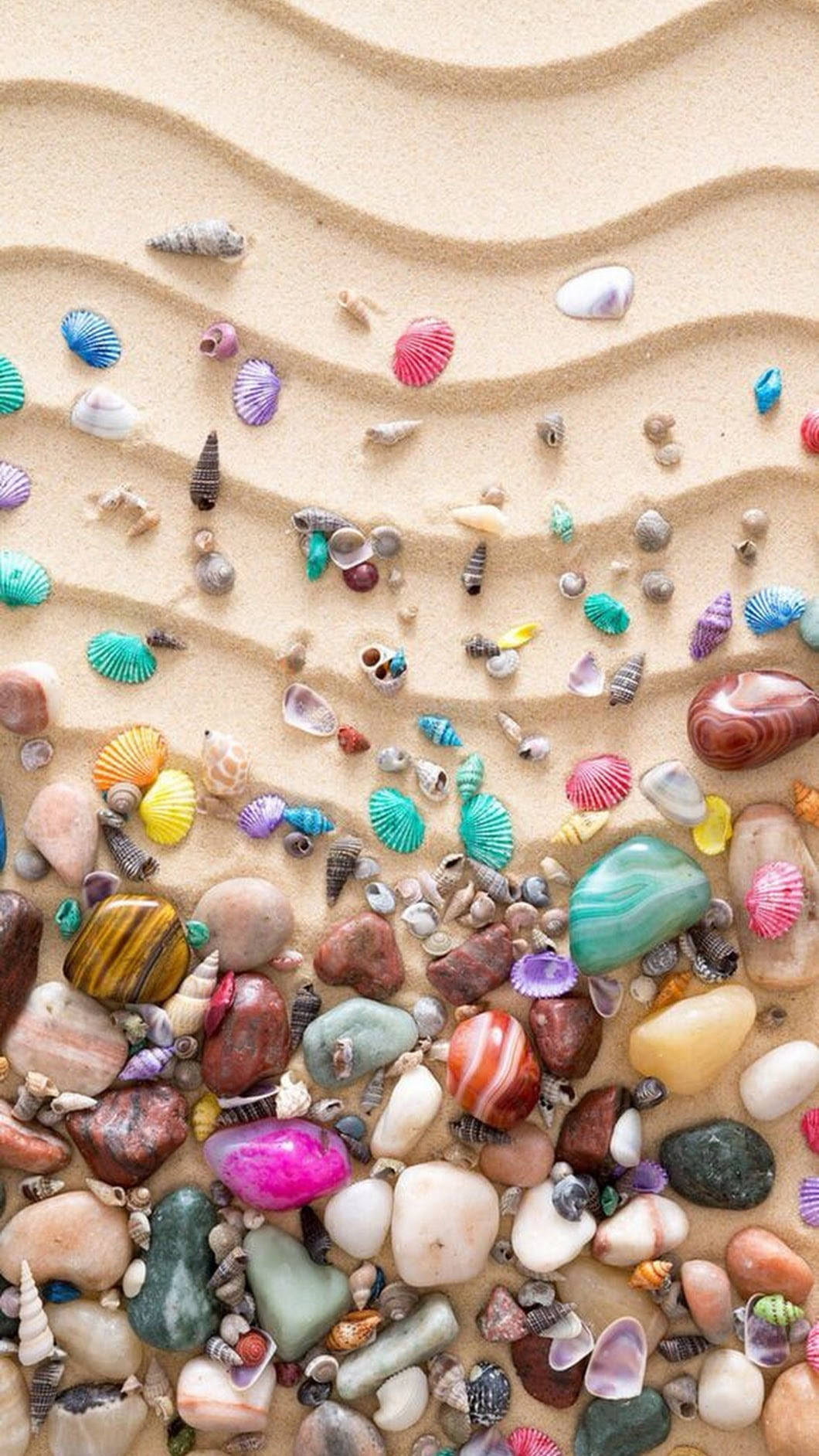 Multicolor Sea Shells Wallpaper