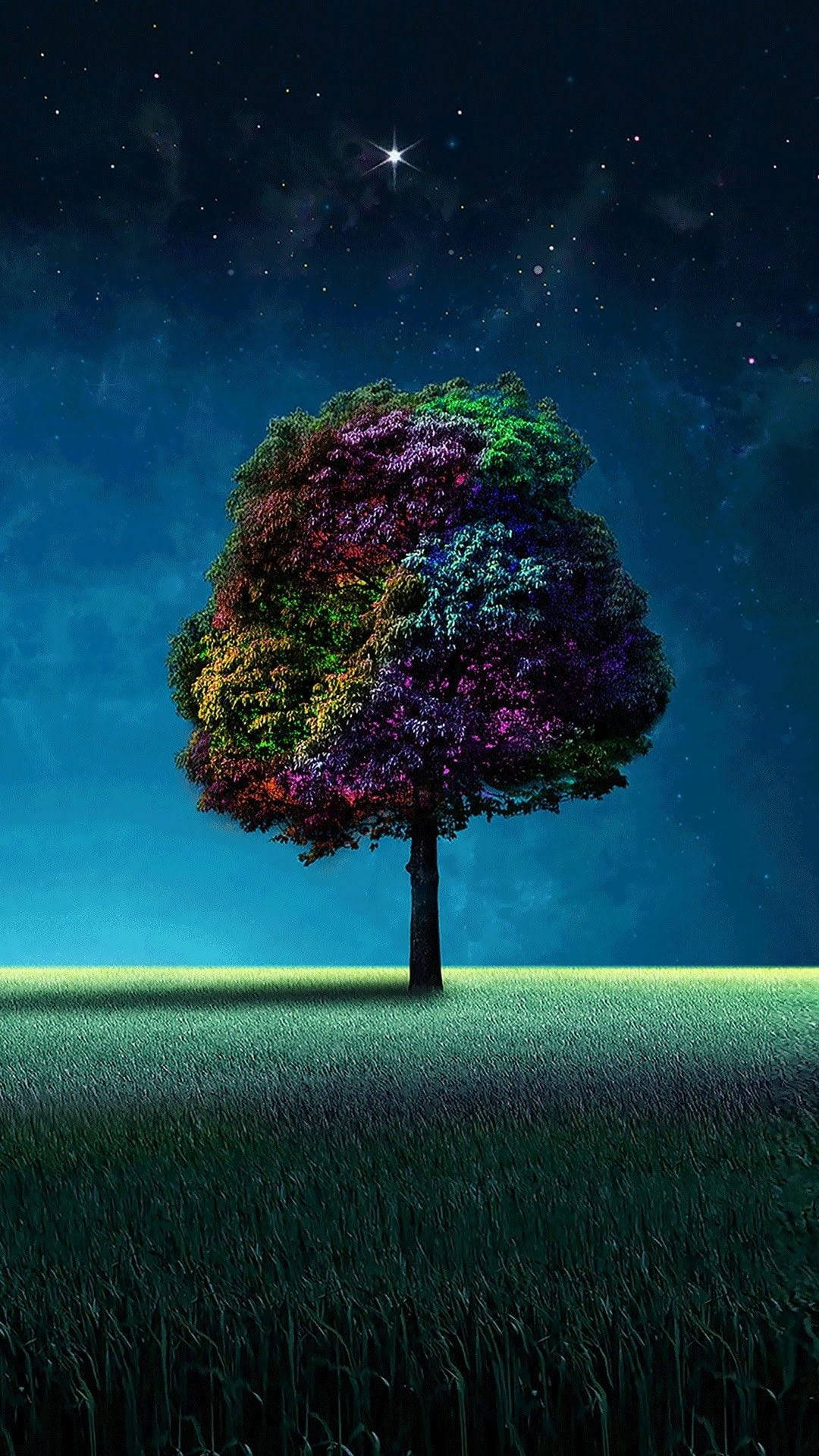 Multicolor Tree At Night Wallpaper