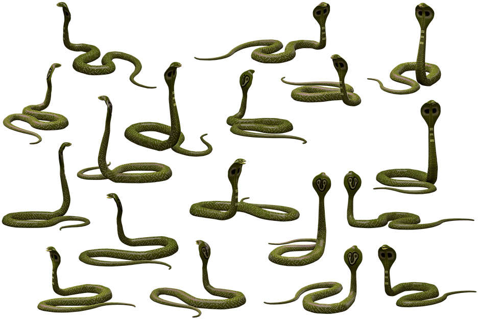 Multiple Cobras Pattern PNG