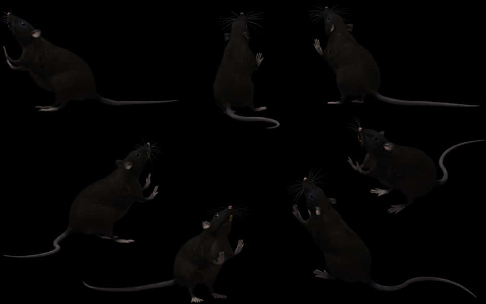 Multiple Ratsin Darkness PNG