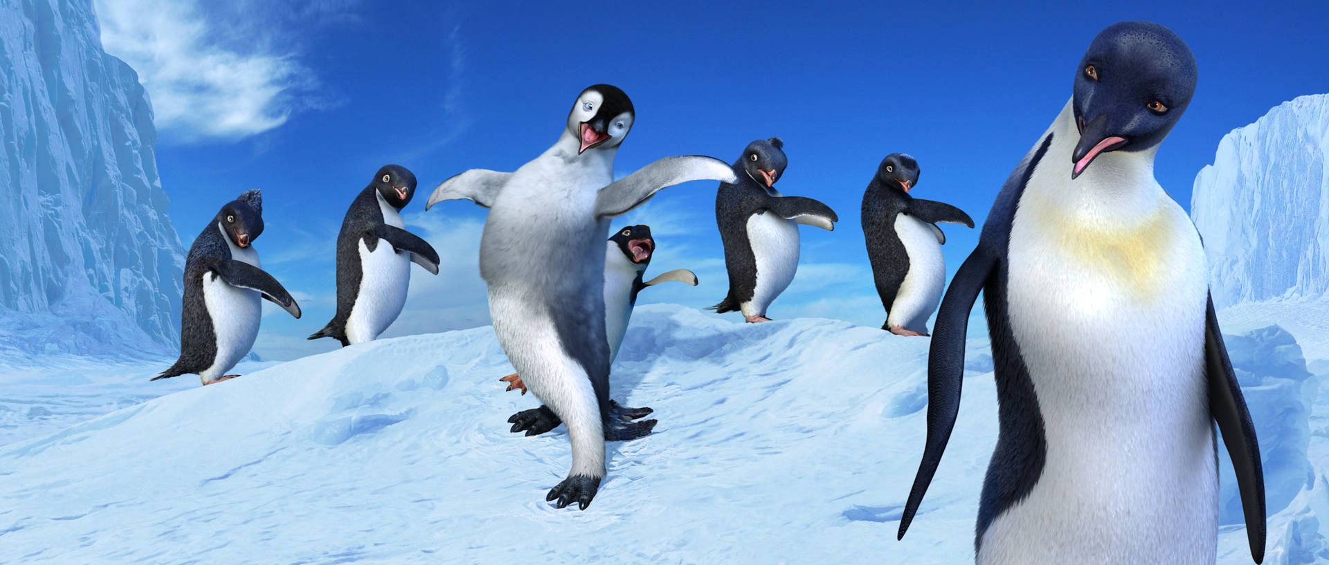 A Group Of Penguins Are Standing On The Snow Wallpaper