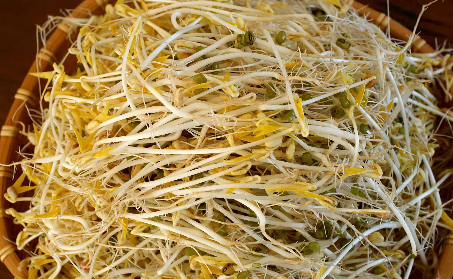 Mung Bean Sprouts Vegetable In A Basket Wallpaper