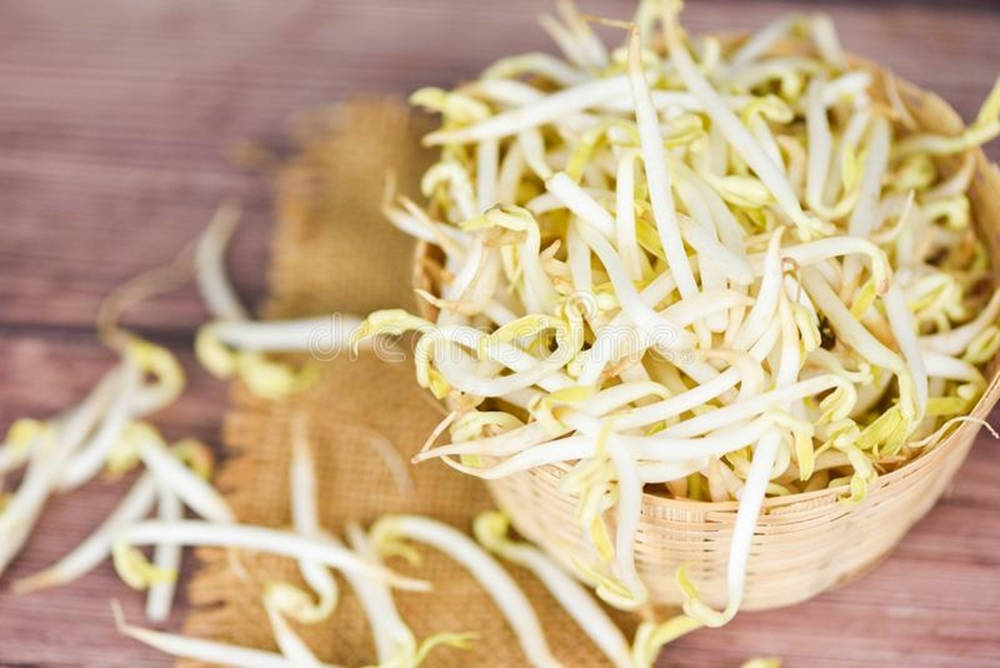 Mung Bean Sprouts Vegetable In Rattan Basket Picture