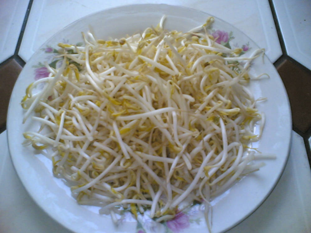 Mung Bean Sprouts Vegetable On Small Plate Background