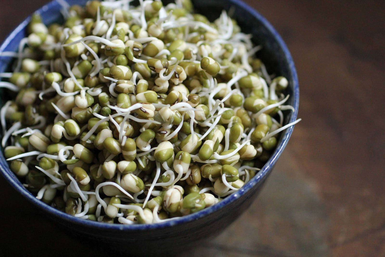 Mung Bean Sprouts Vegetable Porcelain Bowl Background