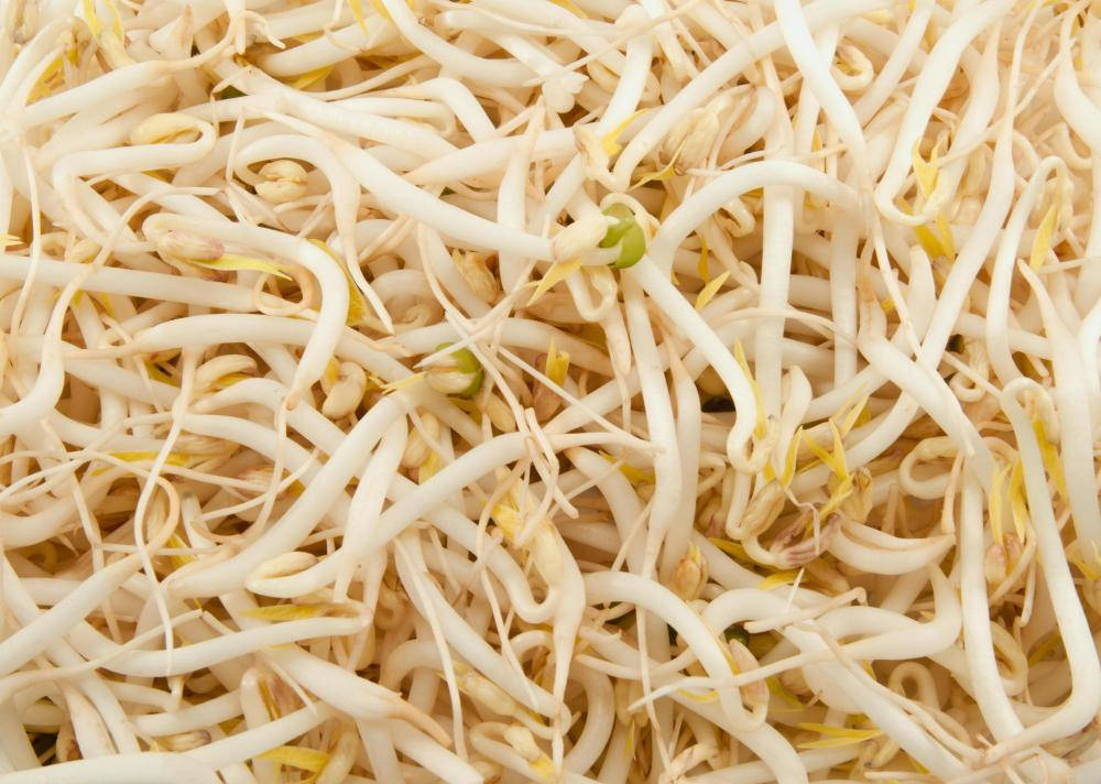 Mung Bean Sprouts Vegetable Variety Background