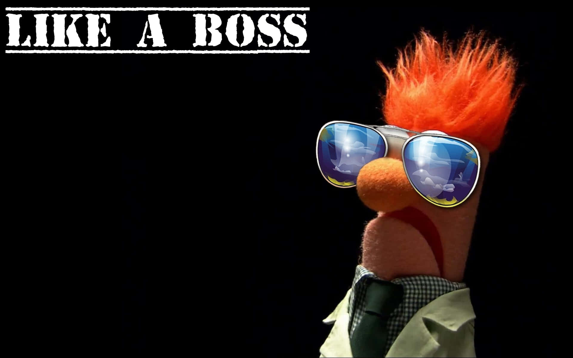 Muppet Boss Attitude Wallpaper