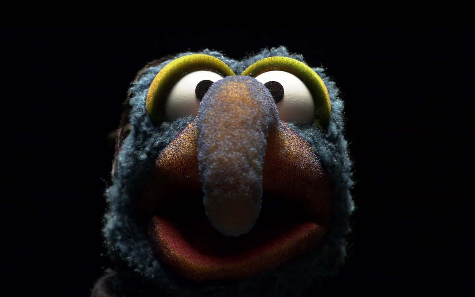 Muppet Character Close Up Wallpaper