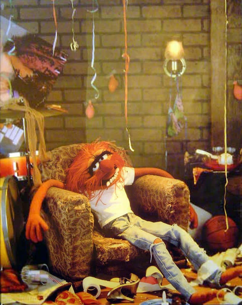 Muppet_ Character_ Relaxing_ After_ Party.jpg Wallpaper