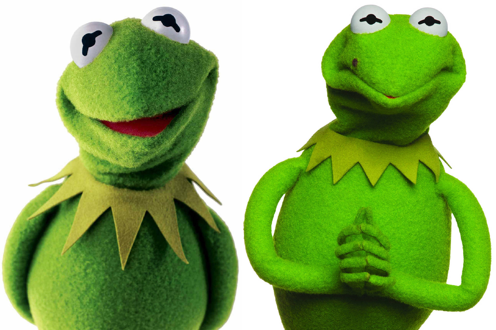 Muppets Most Wanted Constantine And Kermit