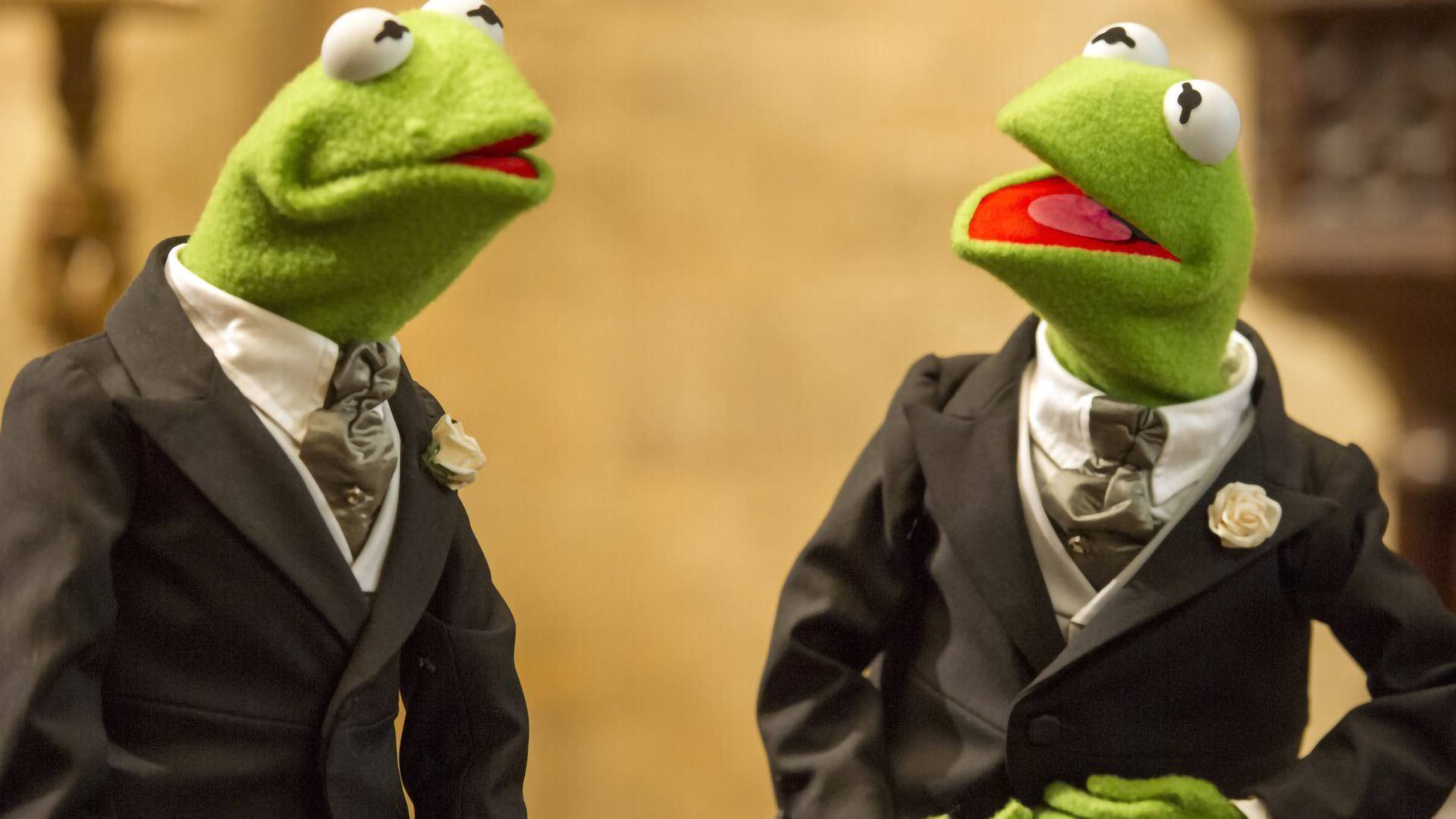 Muppets Most Wanted Two Kermits