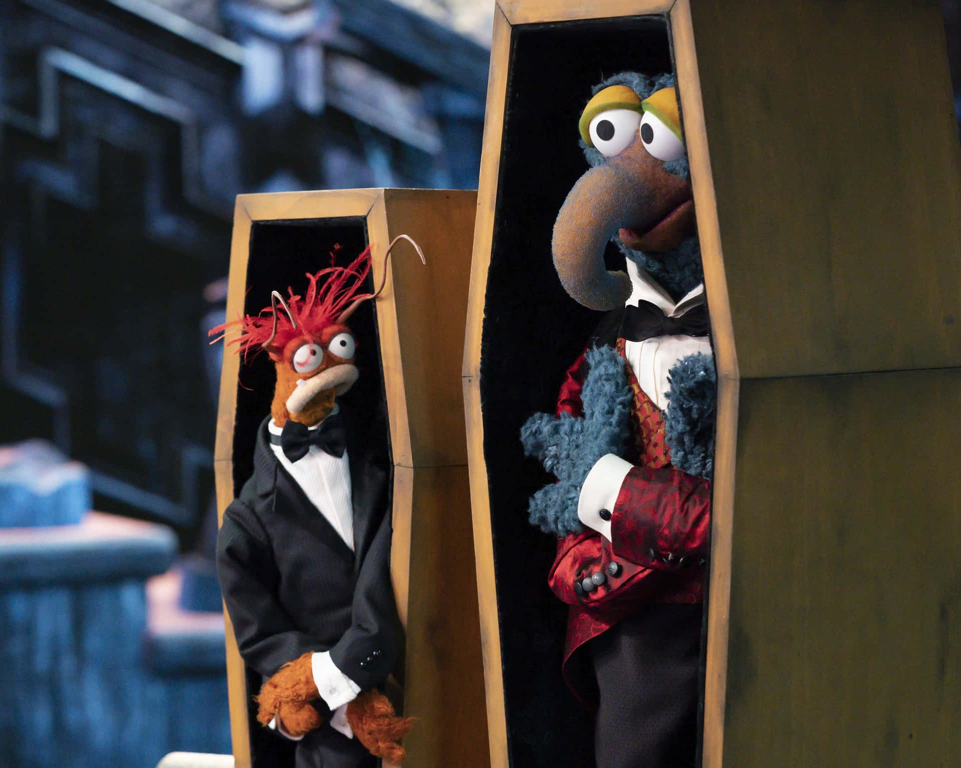 Muppets Peeking From Coffins Wallpaper