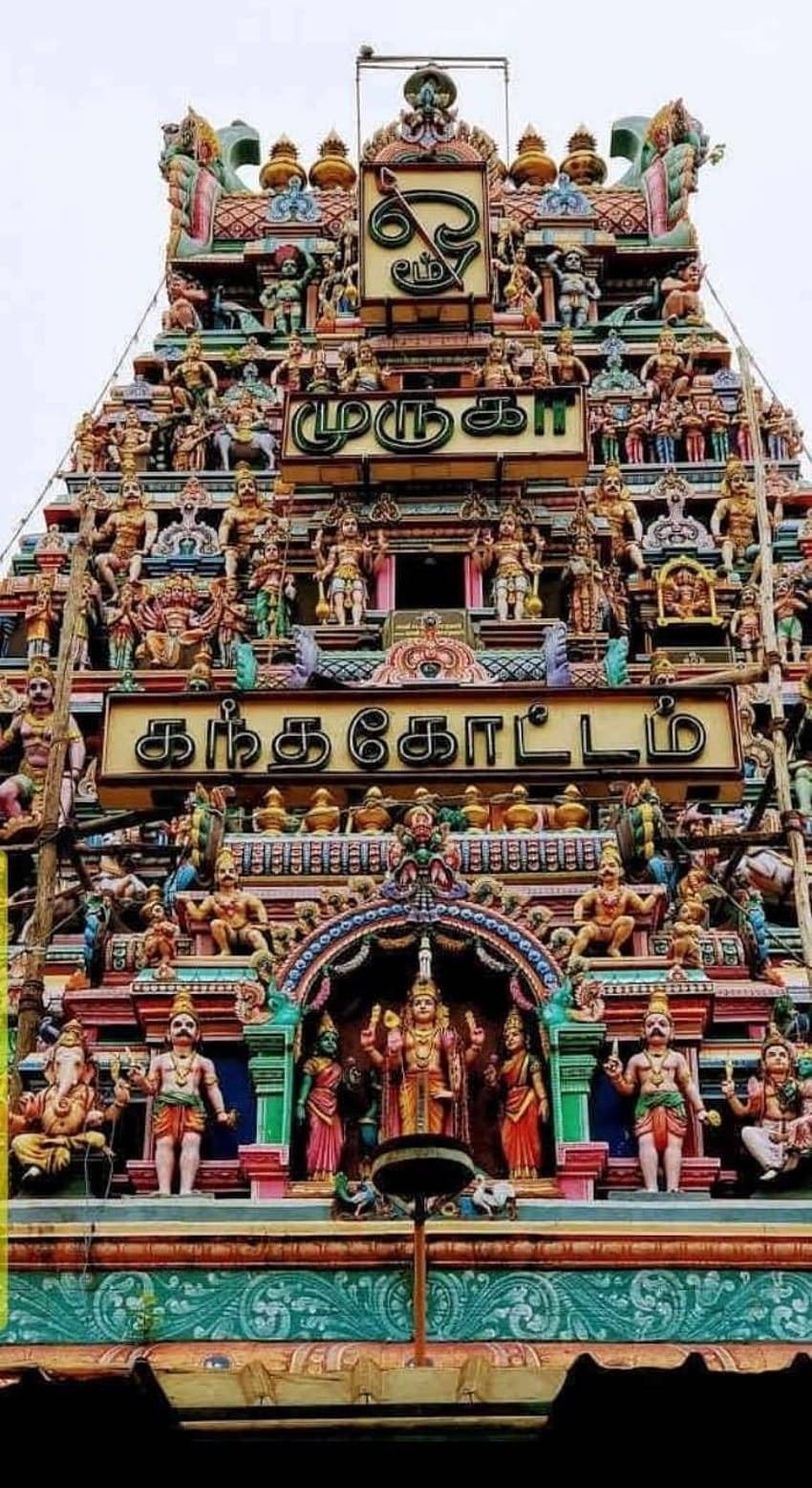 Tempio Di Murugan Gopuram Variopinto Sfondo