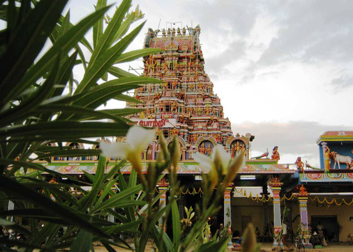 Murugan Temple Obscured By Flowers Wallpaper