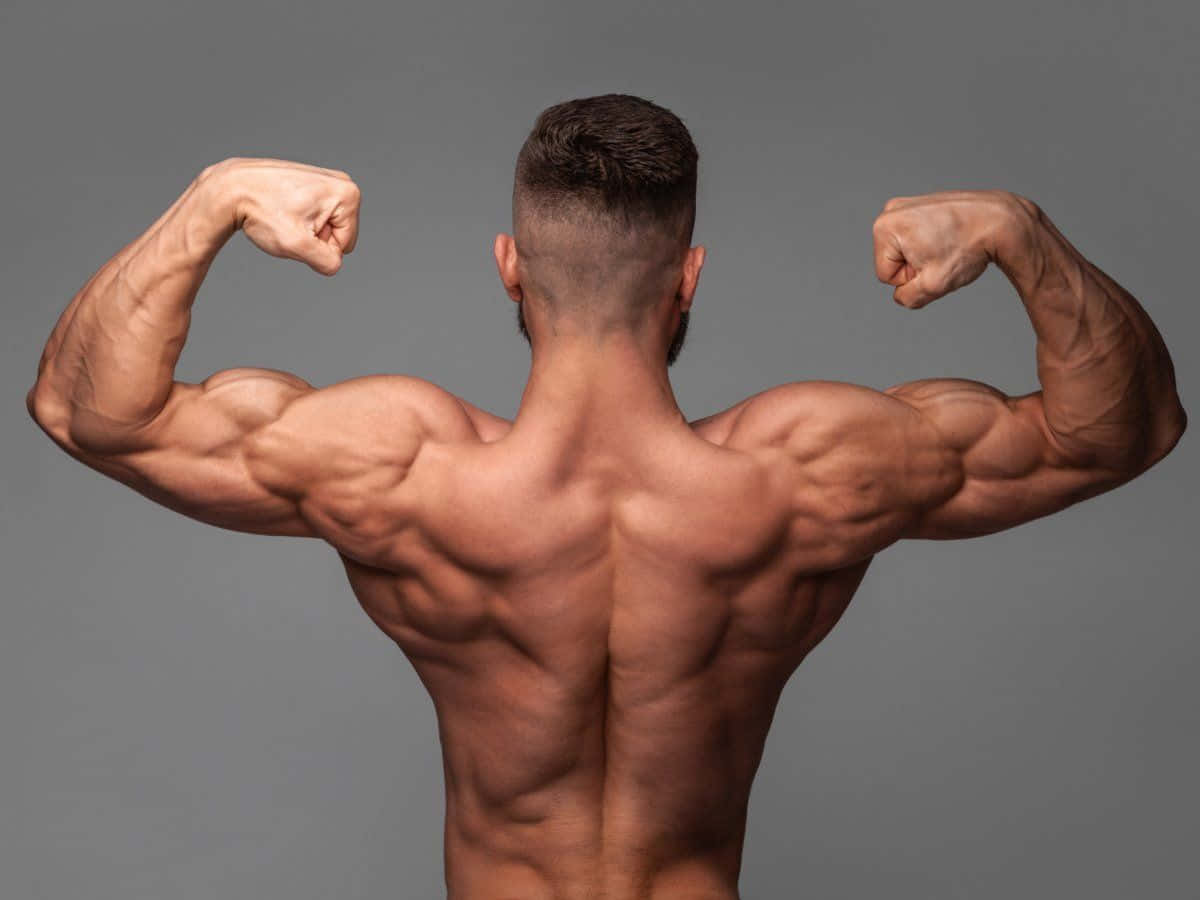 Muscular Back Double Biceps Pose Wallpaper