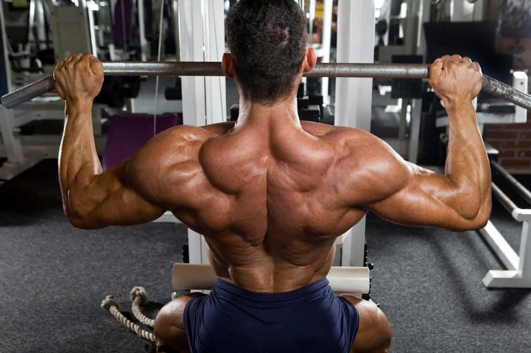 Muscular Back Workout Session Wallpaper