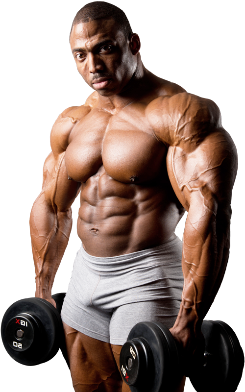 Muscular Bodybuilder Dumbbell Curl PNG