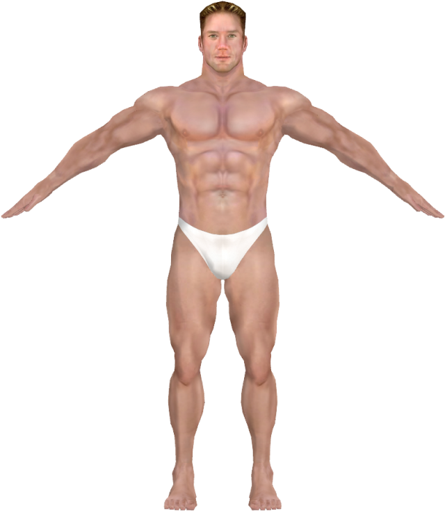 Muscular Bodybuilder Pose PNG