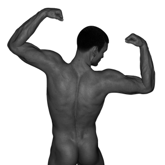 Muscular Male Back Double Biceps Pose PNG
