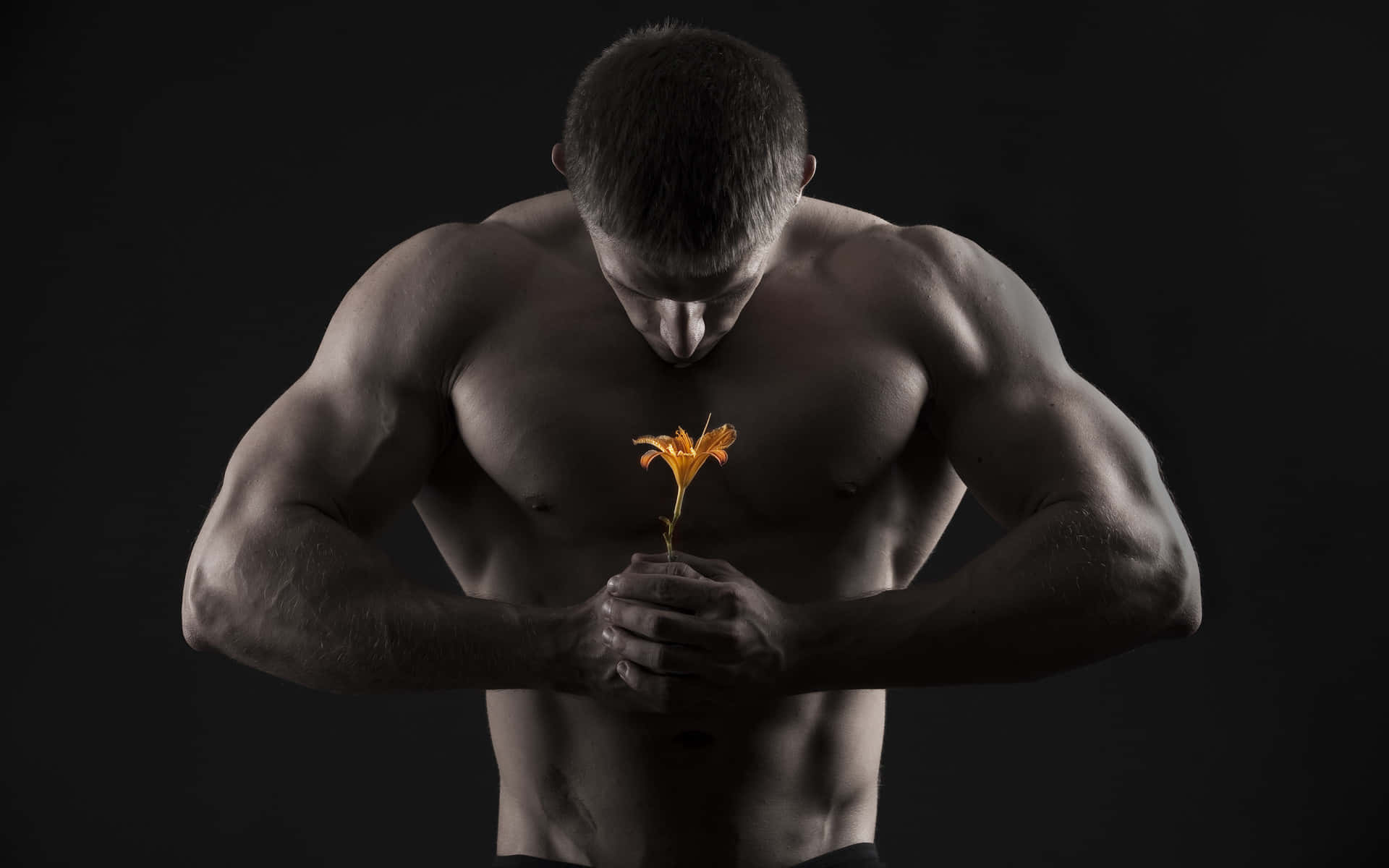 Muscular Man Holding Flower Wallpaper