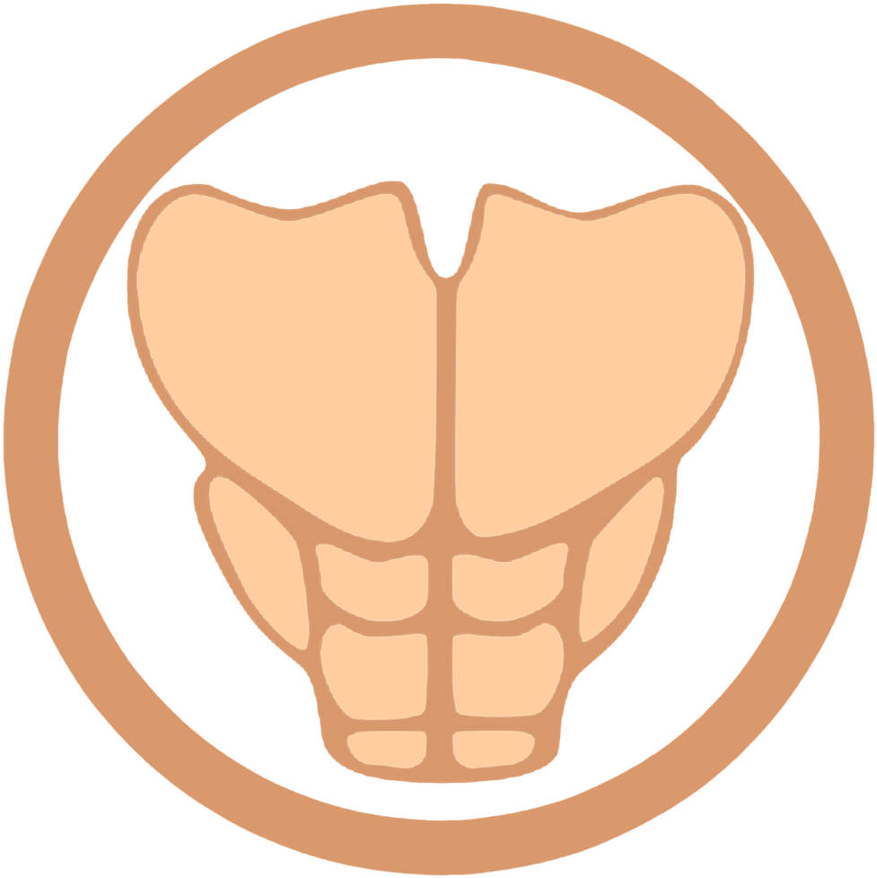 Muscular System Abdominal Muscles Icon PNG