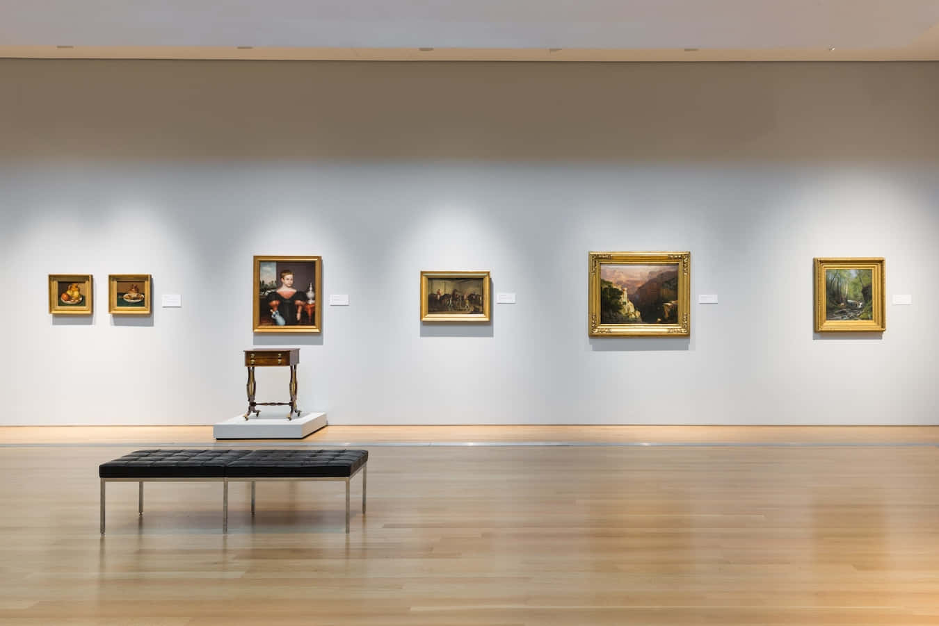 A Fresh Look at the Art Museum