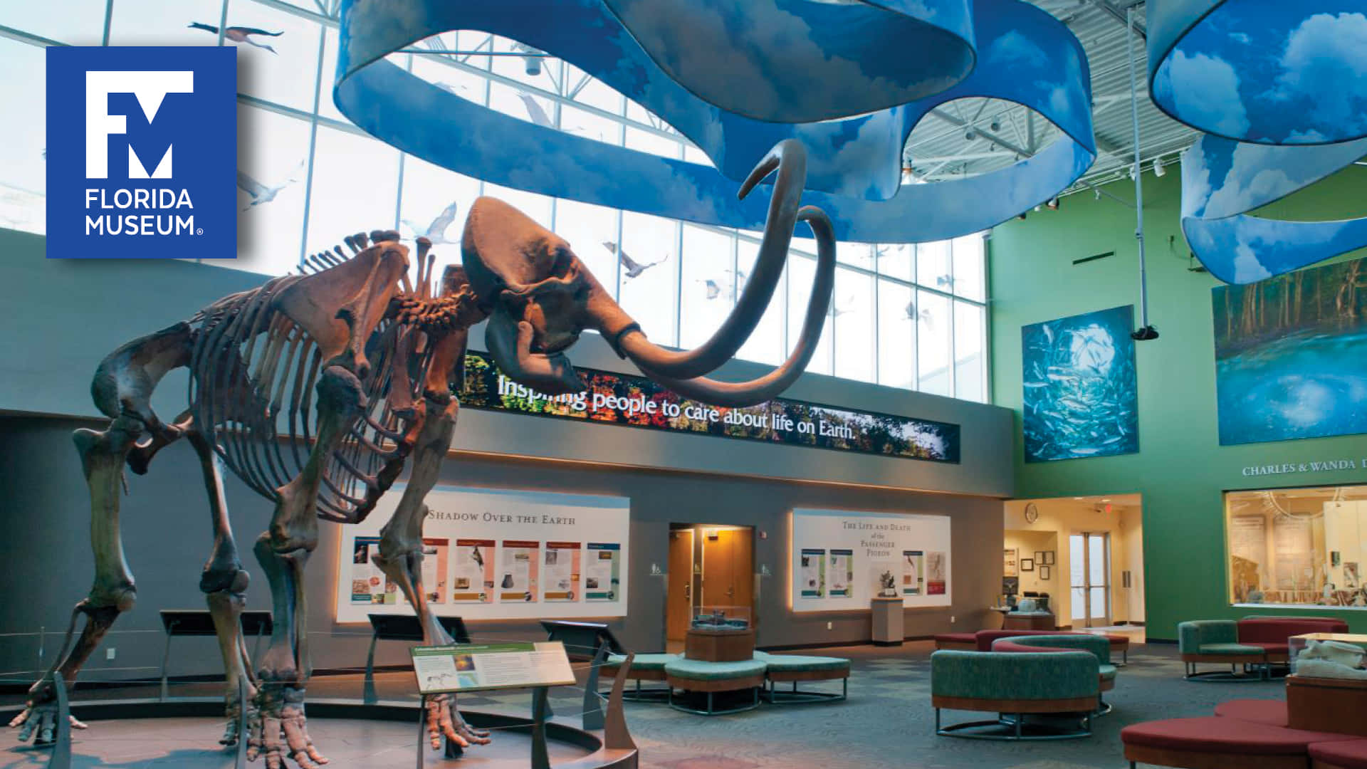 A Museum With A Large Mammoth Skeleton And A Large Mural