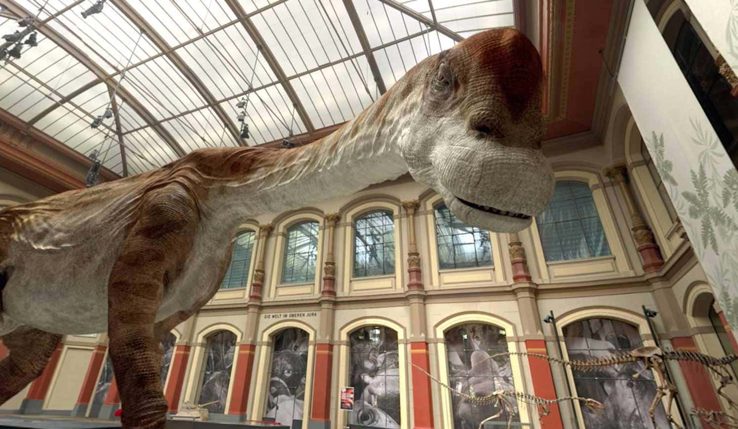A Large Dinosaur Is Displayed In A Museum