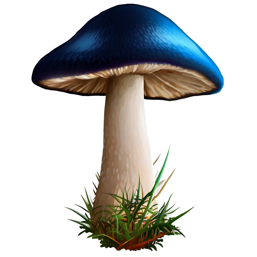 Download Mushroom A | Wallpapers.com