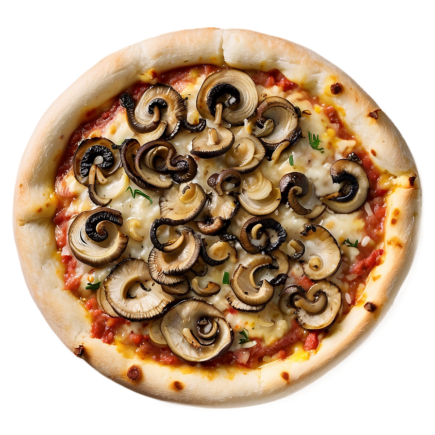 Mushroom And Onion Pizza Png 71 PNG