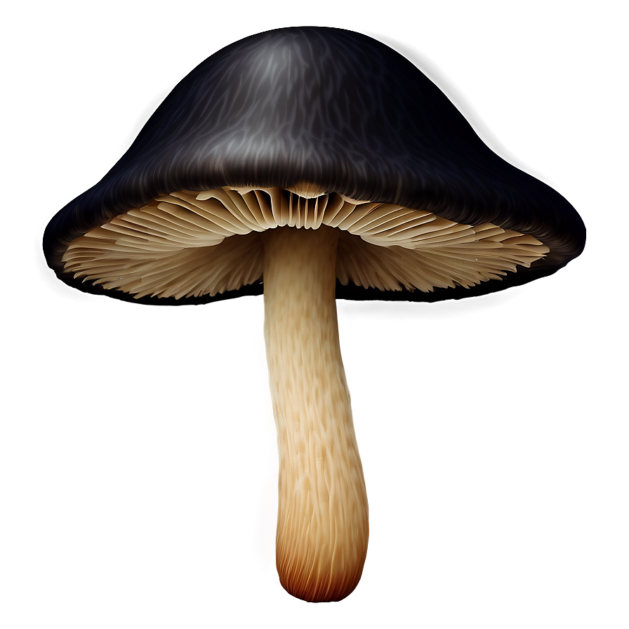 Mushroom Cluster Png 05032024 PNG