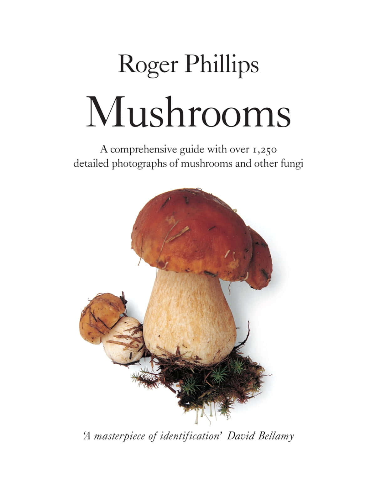 Mushroom Identification in Nature