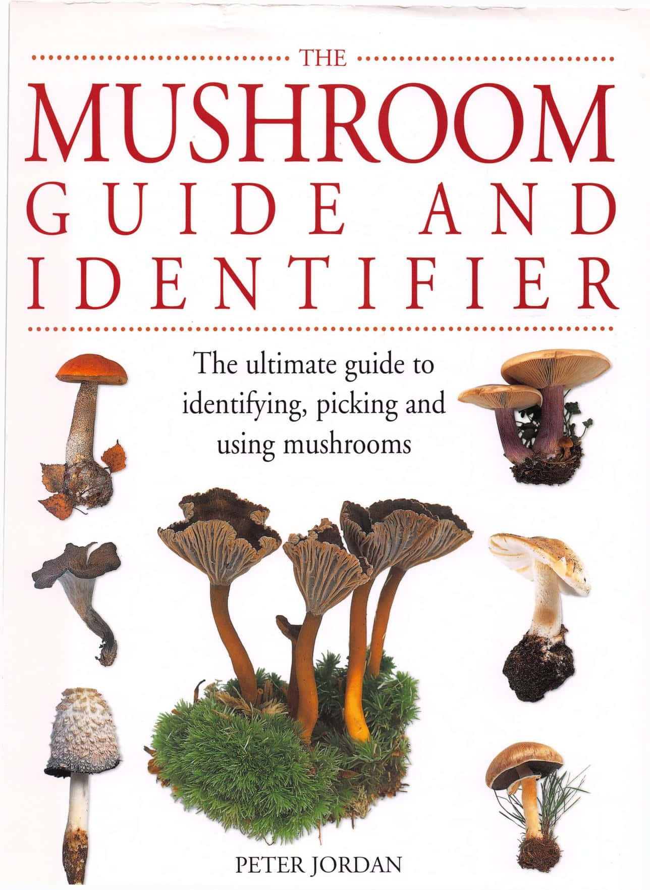Knowing mushroom identification can help you recognize the plethora of edible options available.